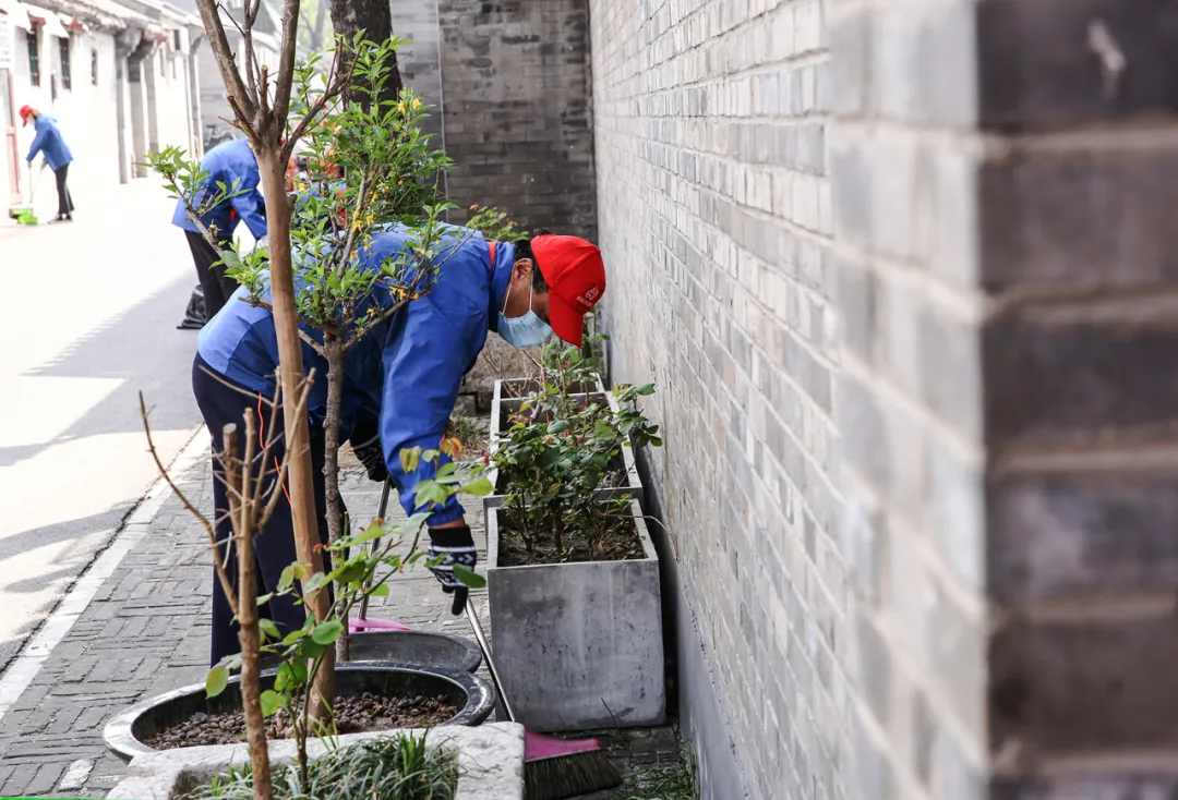 东城区“周末大扫除”升级 推进“精致东城”建设