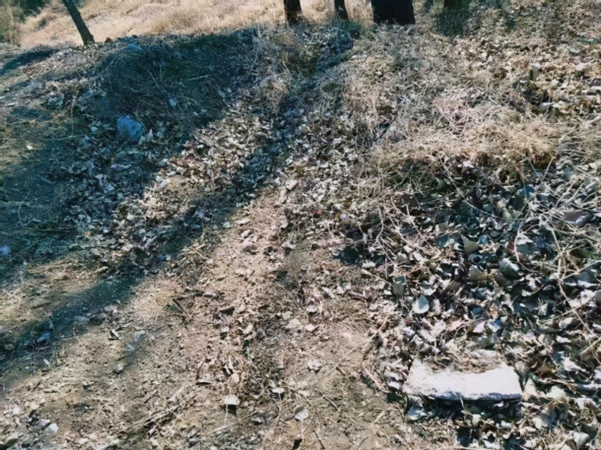 密云区新城子镇全面履行保水责任，完善落实“河长制”