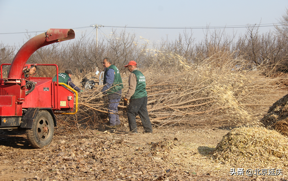 科技服务推进延庆冰雪小镇乡村振兴