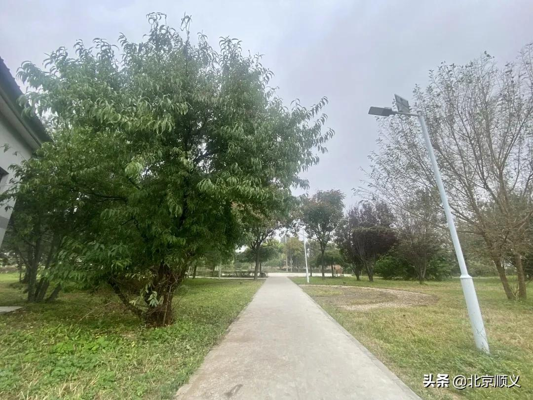 【创城有我】仁和镇河南村、窑坡村新增设便民公园和健身广场，百姓休闲健身再添好去处~