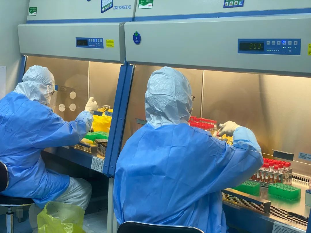 核酸检测的后方“战场”，他们在与“病毒”近距离对峙