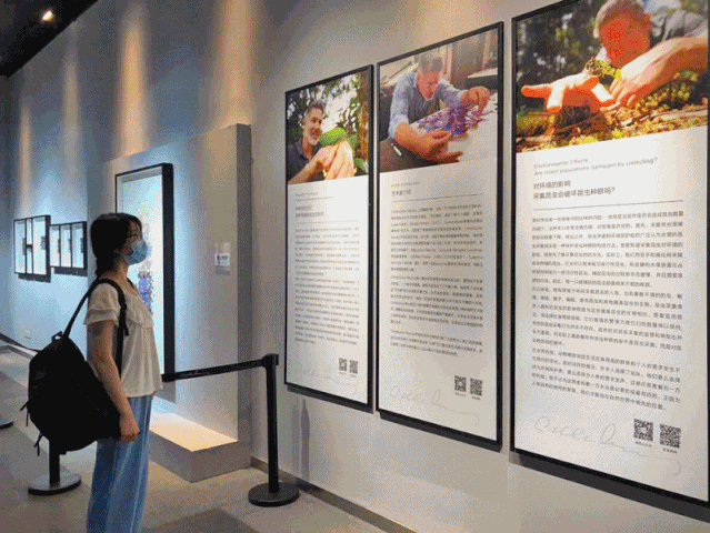 活力东城 | 消费升级！东城夜经济火热来袭