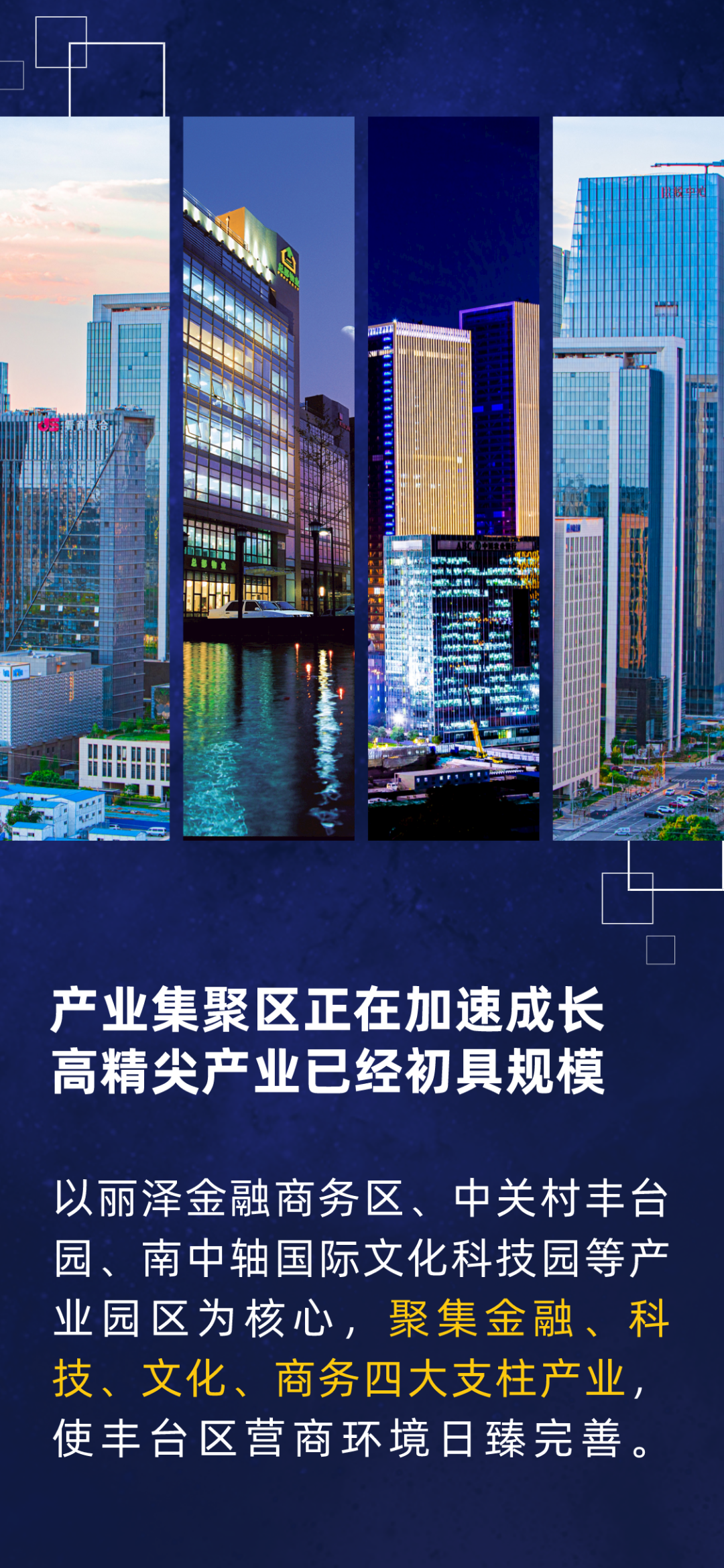 高质量发展“丰”华正茂