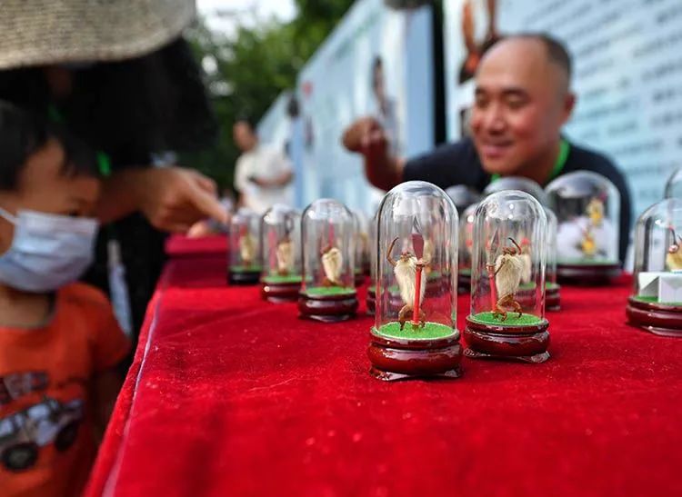 看龙舟争渡，享文化盛宴！2021龙潭端午文化节举办