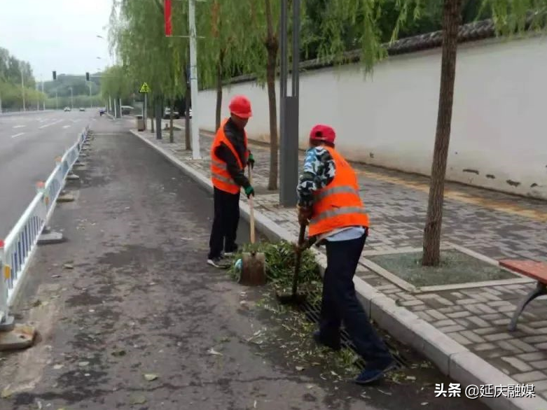 积极应对强降雨 延庆上下联动筑牢防汛“安全线”