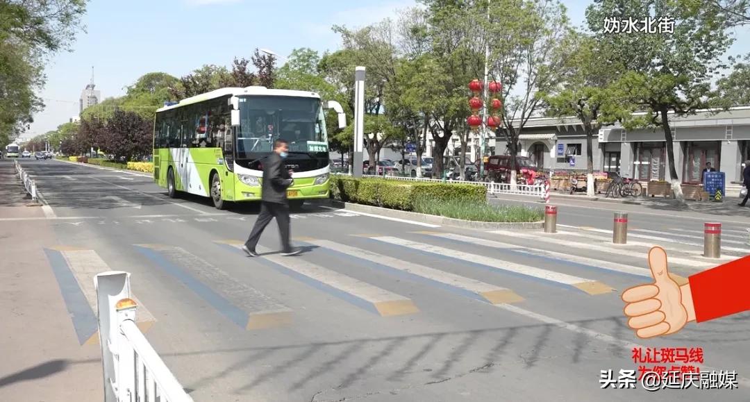 一探究竟！为何礼让斑马线成为延庆交通文明新风尚？