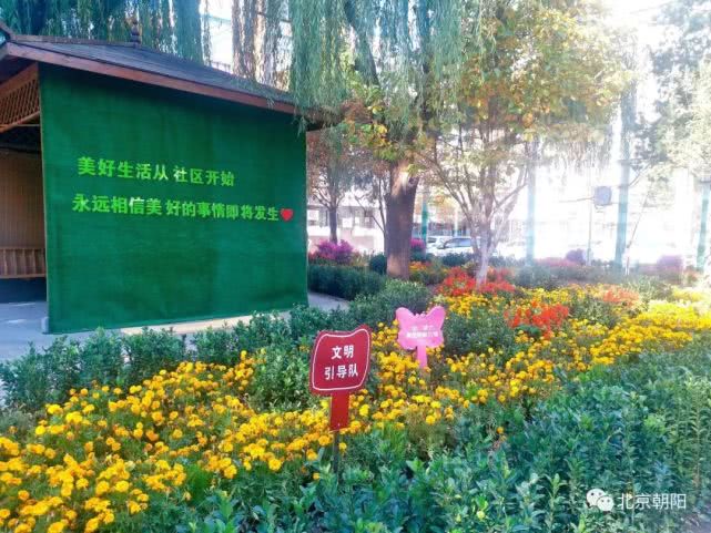 特靠谱、有干劲、有才华……这些词形容咱朝阳群众，很合适！