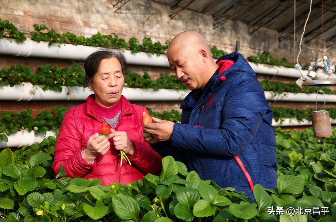 路河创新工作室：勇做农业高质量发展“急先锋”