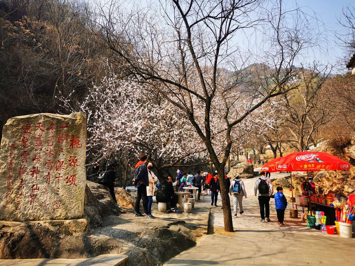 春风暖浓踏青时：密云区石城镇清明节乡村旅游接待实现收入378万元