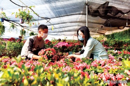 实现高质量绿色发展奋斗新诗篇 延庆奏响新时代欢歌