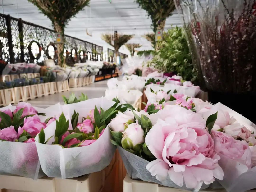 全国首个《花卉交易服务规范》地方标准落地丰台