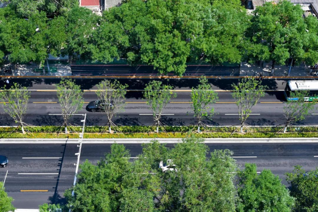 重心下移推动城市治理创新，“接诉即办”促进服务提质增效