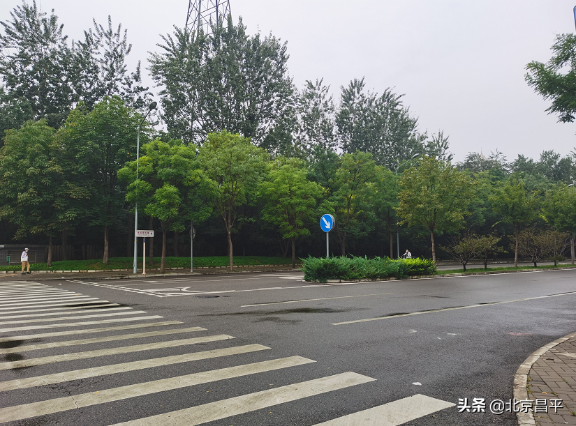 精细化治理，赋能品质“回天”