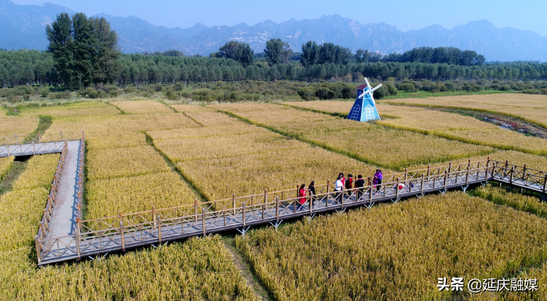 万众一心决战决胜冬奥会 真抓实干推动高质量绿色发展 上半年延庆奋力书写两张优异答卷
