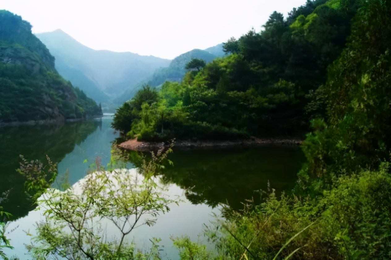 聚焦“两会”重点 践行“两山”理论，密云区太师屯镇推进仙居谷景区森林康养基地建设