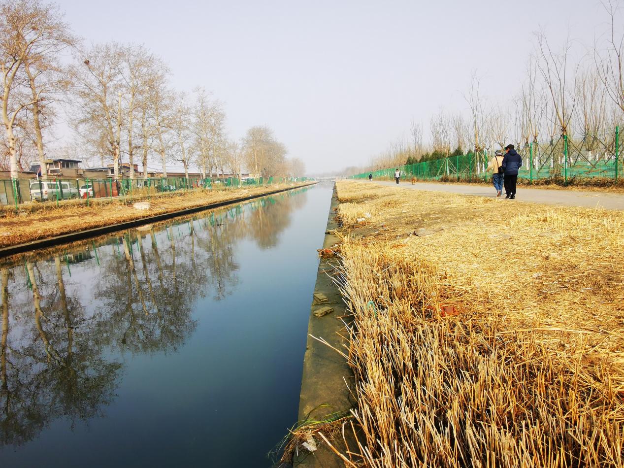 丰台“妙笔生花”，打造宜居宜业城区“升级版”