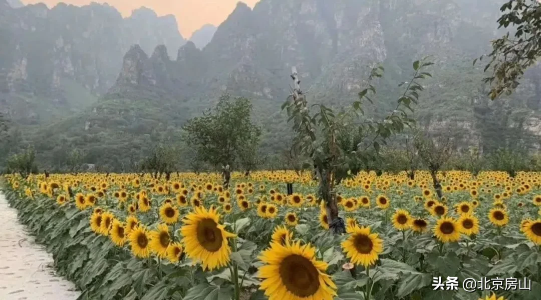 档案见证小康路，回顾房山脱低攻坚路上的光辉事迹！