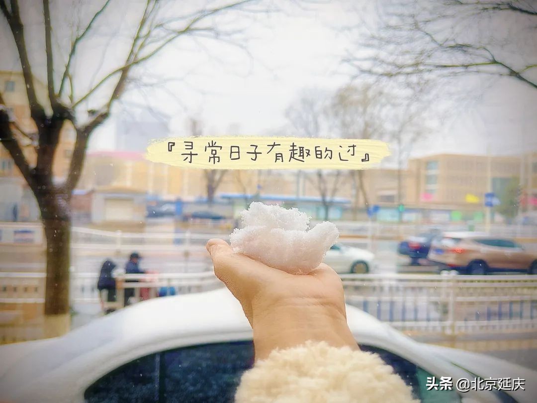 风雪中，延庆乡亲暖心守护！
