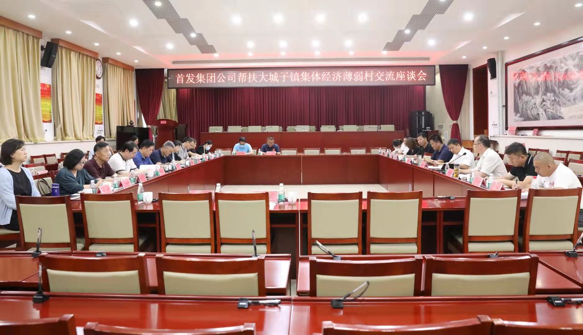 首发集团到密云区大城子镇集体经济薄弱村调研