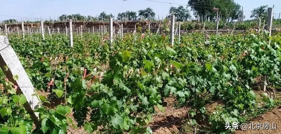 档案见证小康路，回顾房山脱低攻坚路上的光辉事迹！