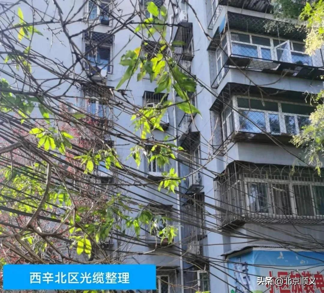 【创城有我】空中环境也要提升！旺泉街道为老旧小区捋齐“空中飞线”！