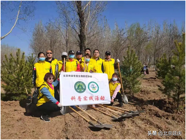 保证延庆赛区周边生态环境不受影响 延庆林业有害生物志愿服务队为冬奥保驾护航