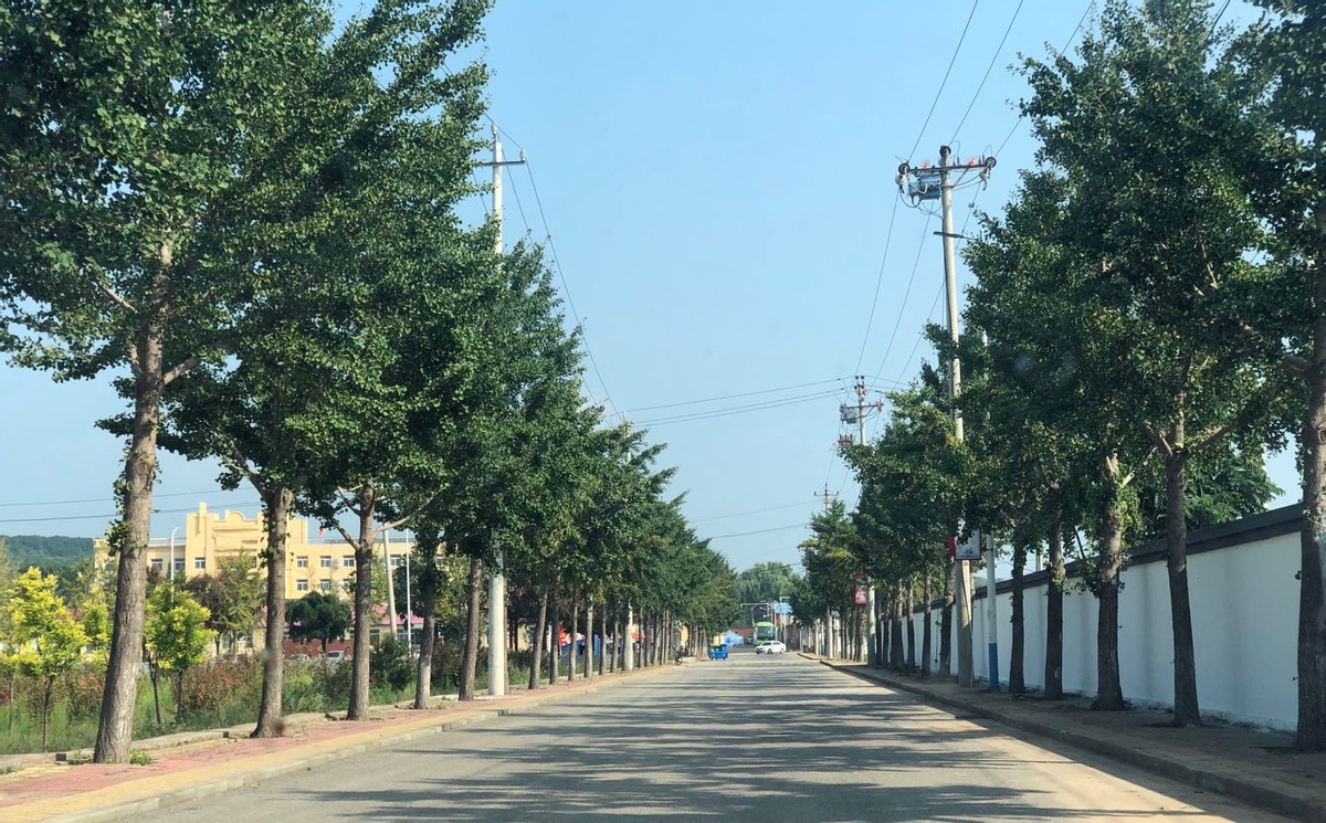 密云区太师屯镇：村村组织护环境 人人参与搞卫生