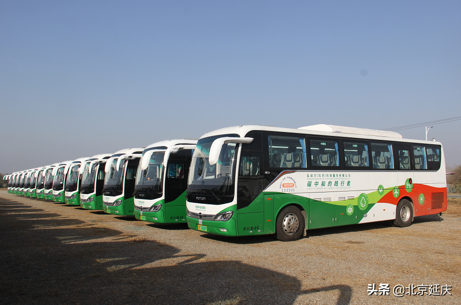 赋能绿色办奥 氢能大巴正式投入冬奥延庆赛区核心区试运营