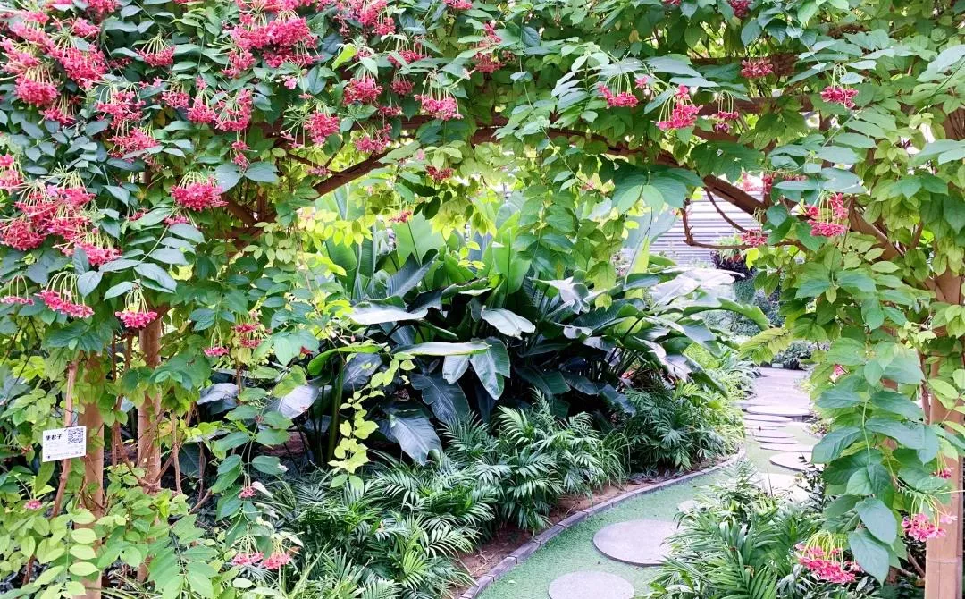 圆梦庆冬奥 正月游丰台——2022丰台正月文化旅游系列活动