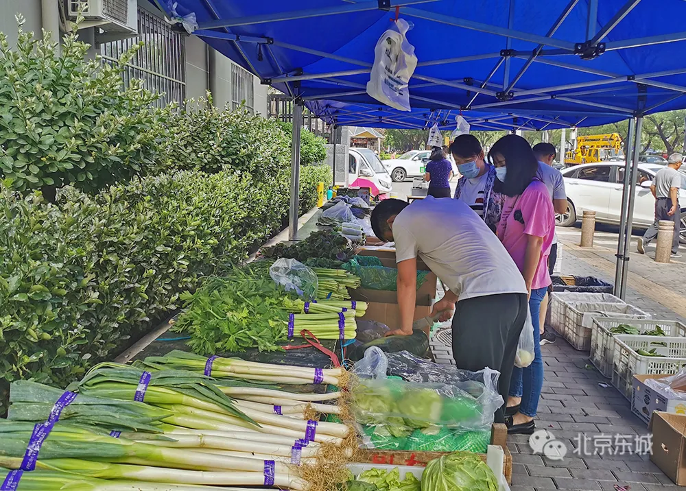 更方便，更安心！“蔬菜直通车”受到居民欢迎