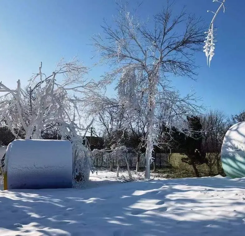 圆梦庆冬奥 正月游丰台——2022丰台正月文化旅游系列活动