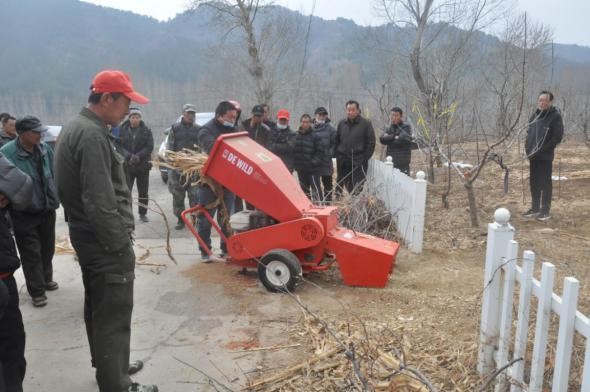 新城子镇启动果园废弃物治理项目