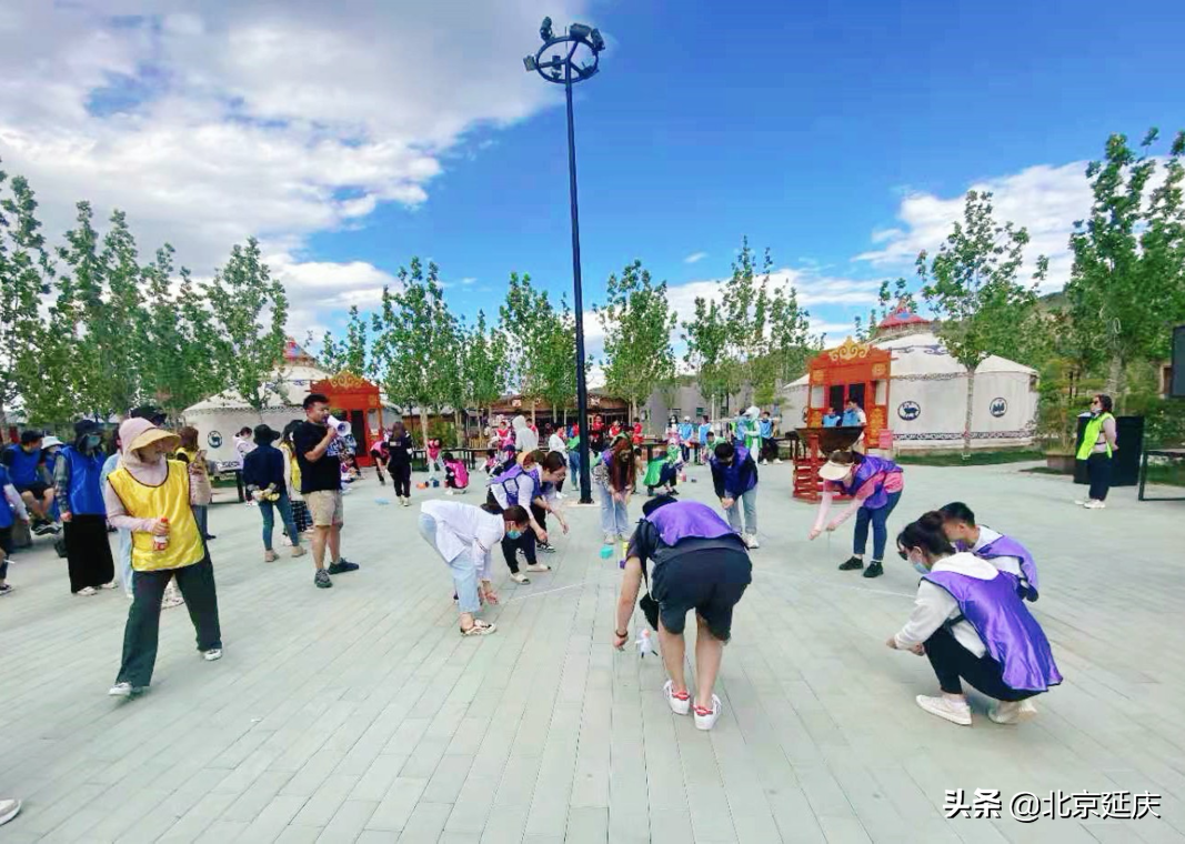 感受浪漫园艺生活 延庆里炮园艺小镇秋日盛景正当时~