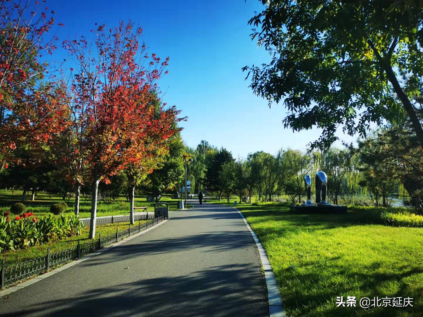 最美冬奥城延庆，朋友圈里一片蓝天