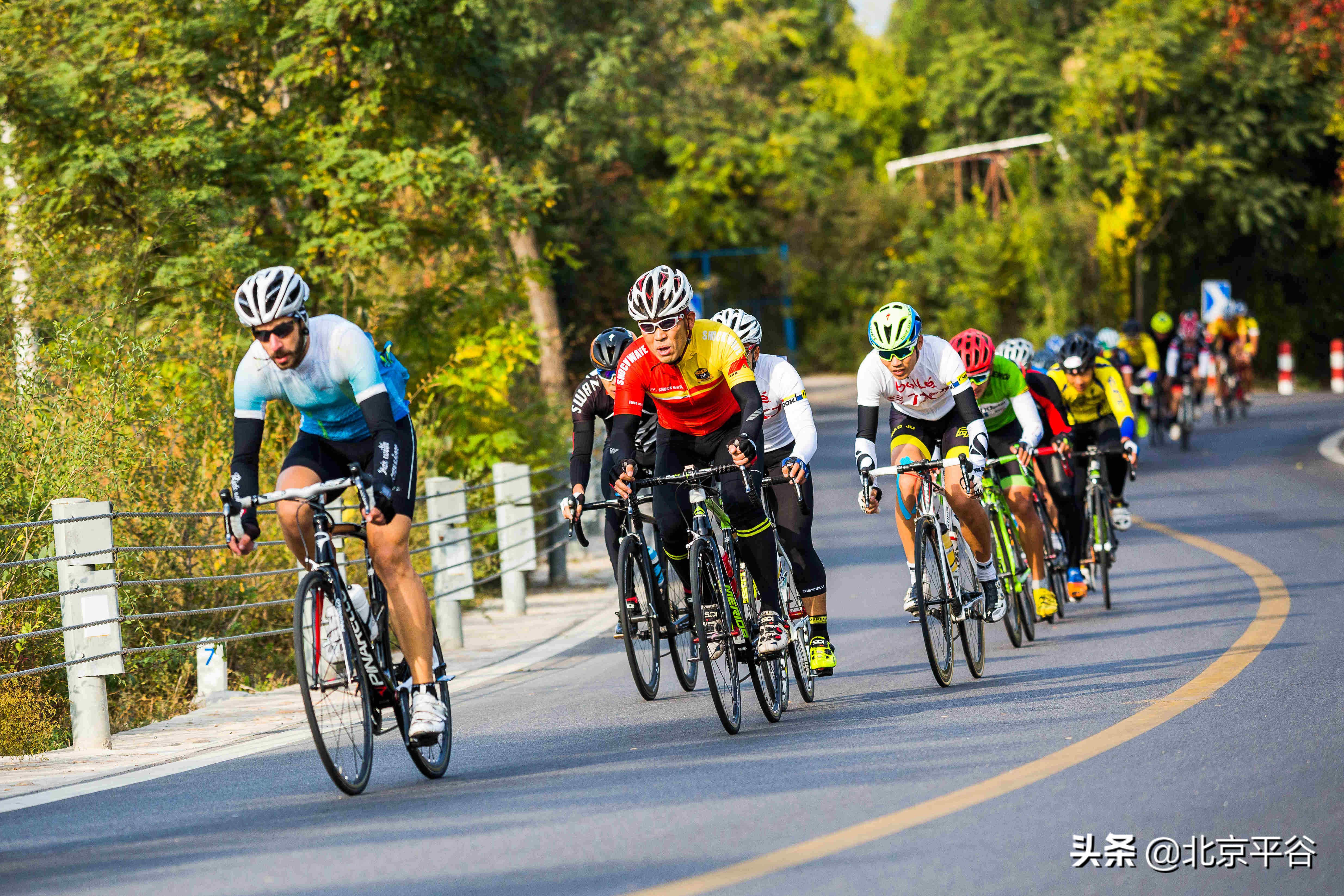 平谷携手阿里巴巴 世界级景观平谷桃花海云上绽放