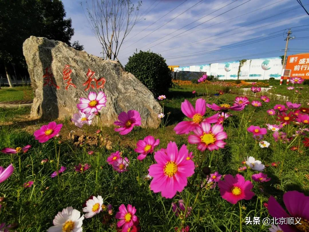 【创城有我】空港街道让昔日排水沟变身休闲打卡地~