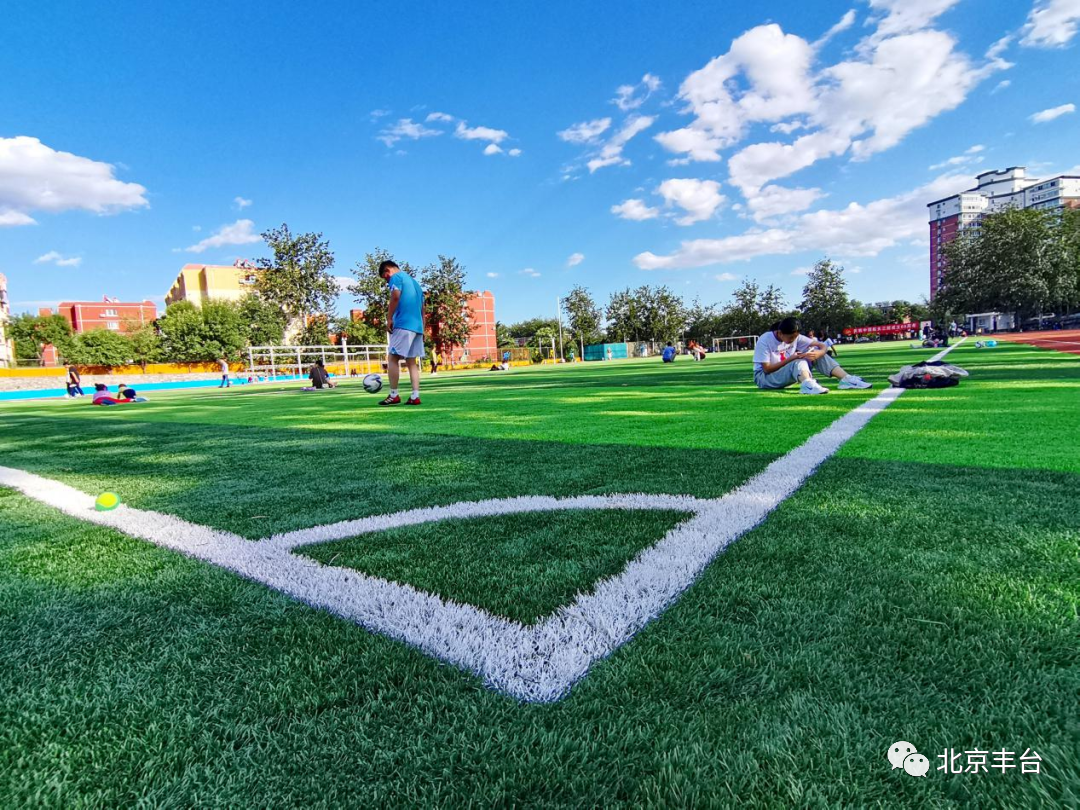 喜报！云岗街道荣获第一届“首都生态文明建设先进集体”称号