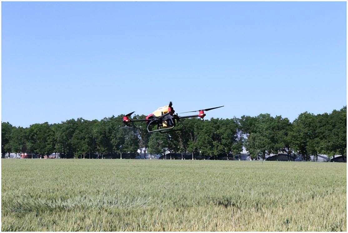 无人机出手，顺义小麦吃上“营养快餐”