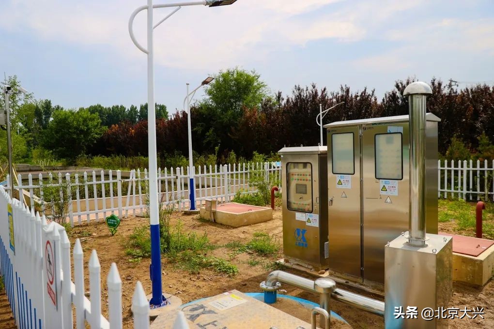 杂草荒地“变身”生态湿地，大兴这里焕然一新——