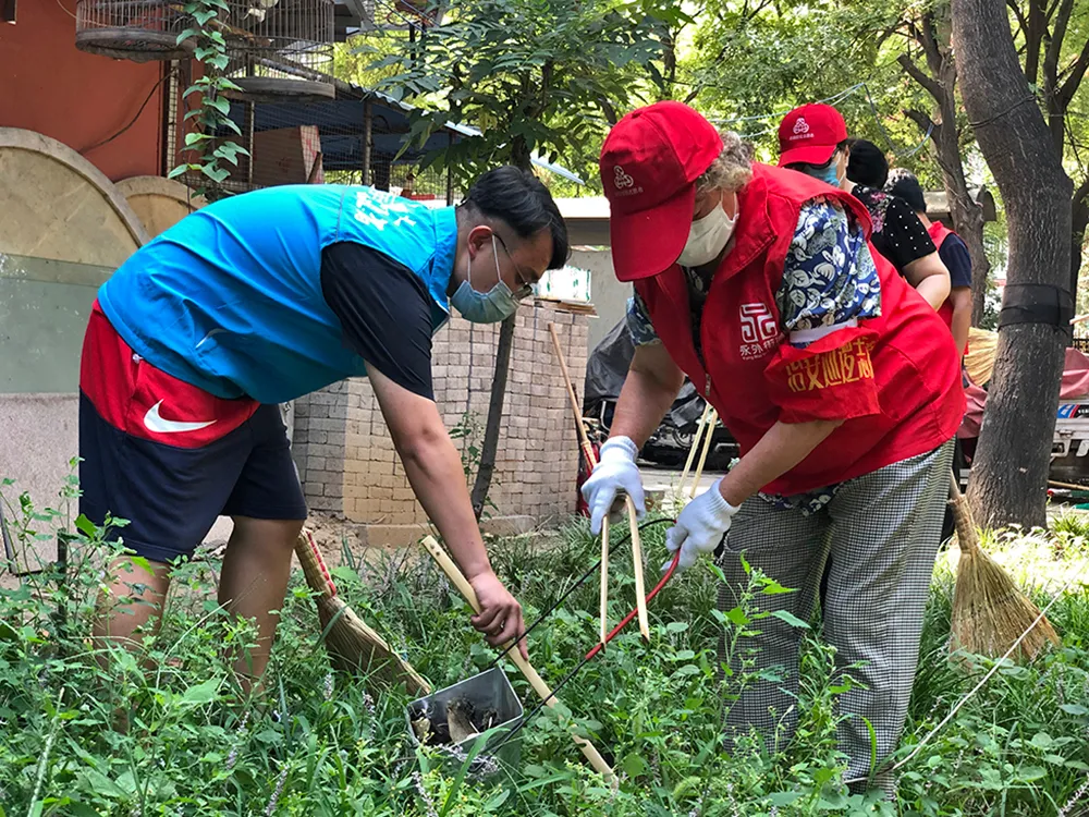 周末卫生日的“东城瞬间”