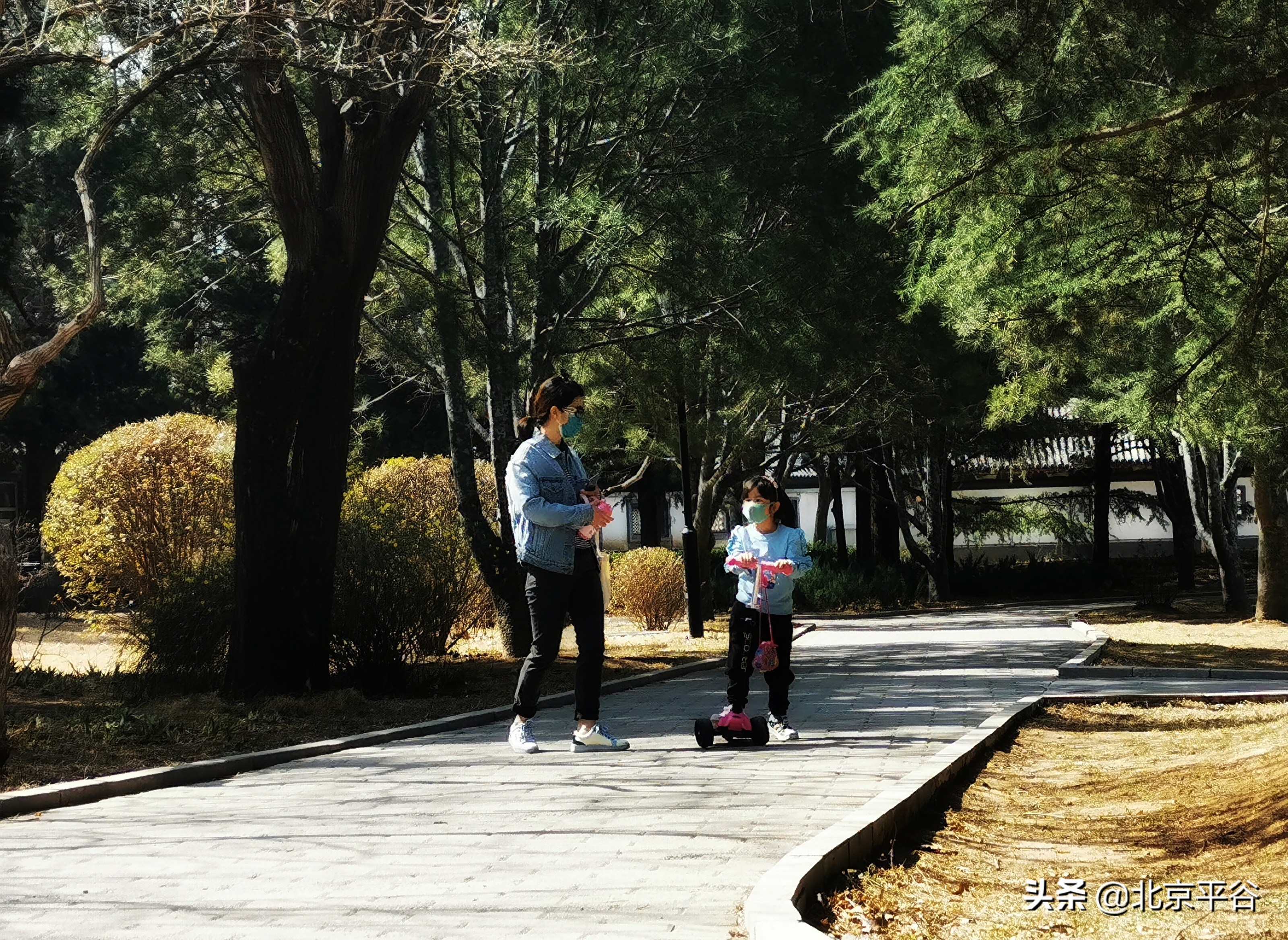 口罩遮住你的脸，却遮不住寻找平谷春天的眼