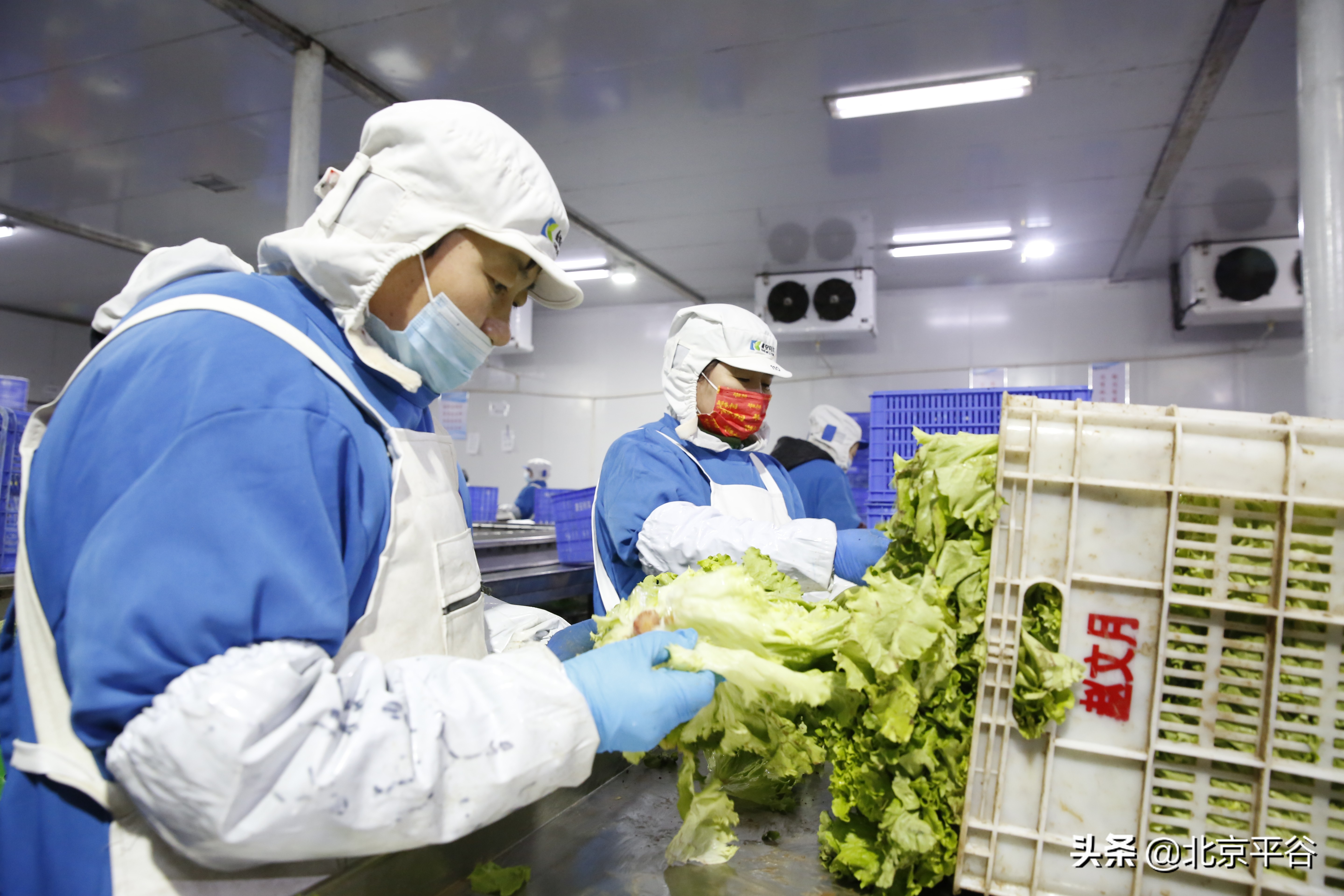 平谷马坊物流基地24小时全力运转保供首都