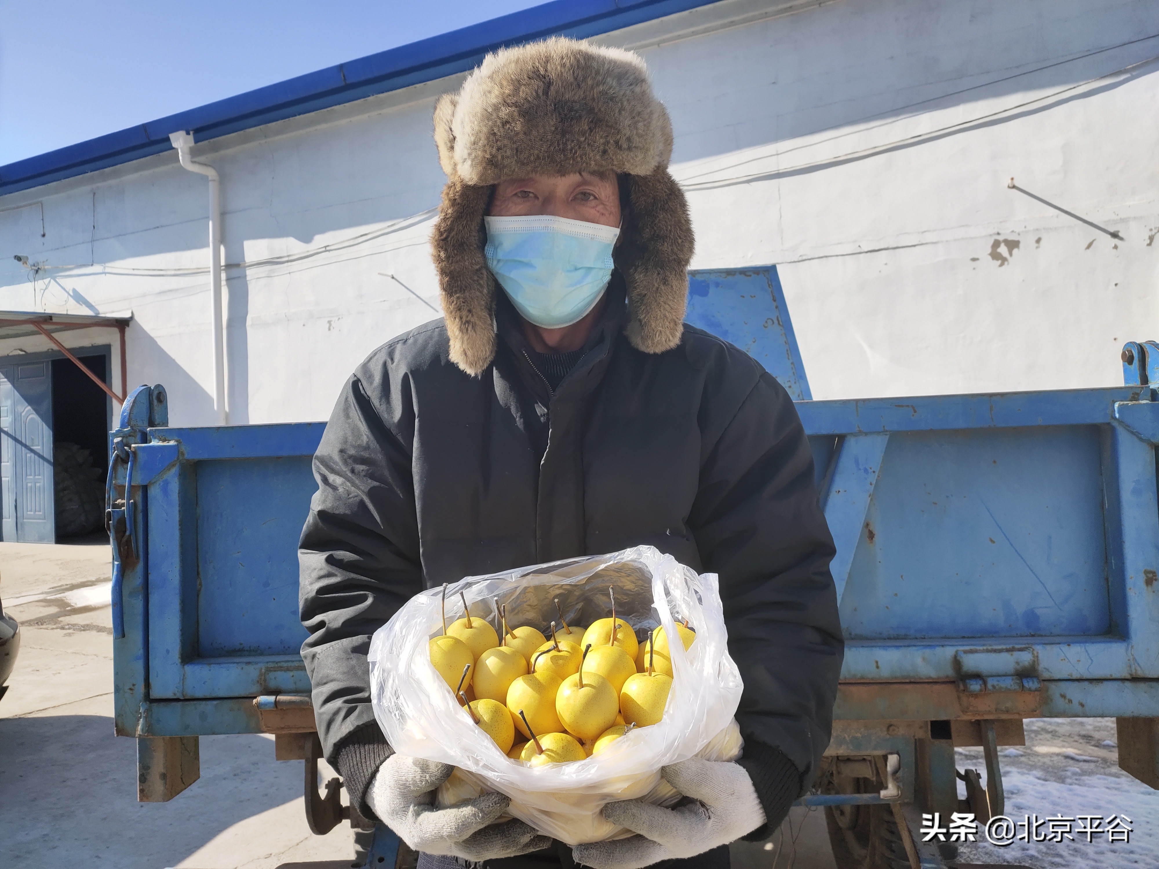 感谢有你！平谷镇罗营百万斤果品“滞销转脱销”