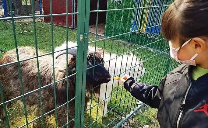 圆梦庆冬奥 正月游丰台——2022丰台正月文化旅游系列活动