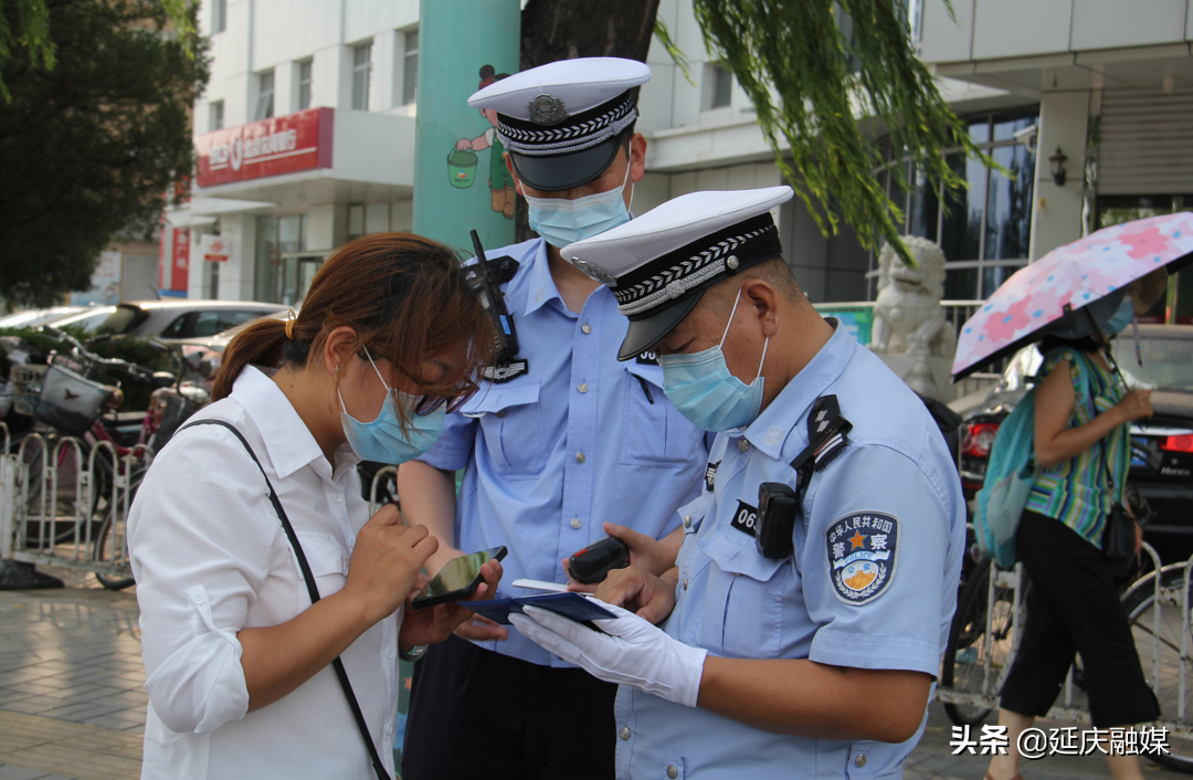 一探究竟！为何礼让斑马线成为延庆交通文明新风尚？