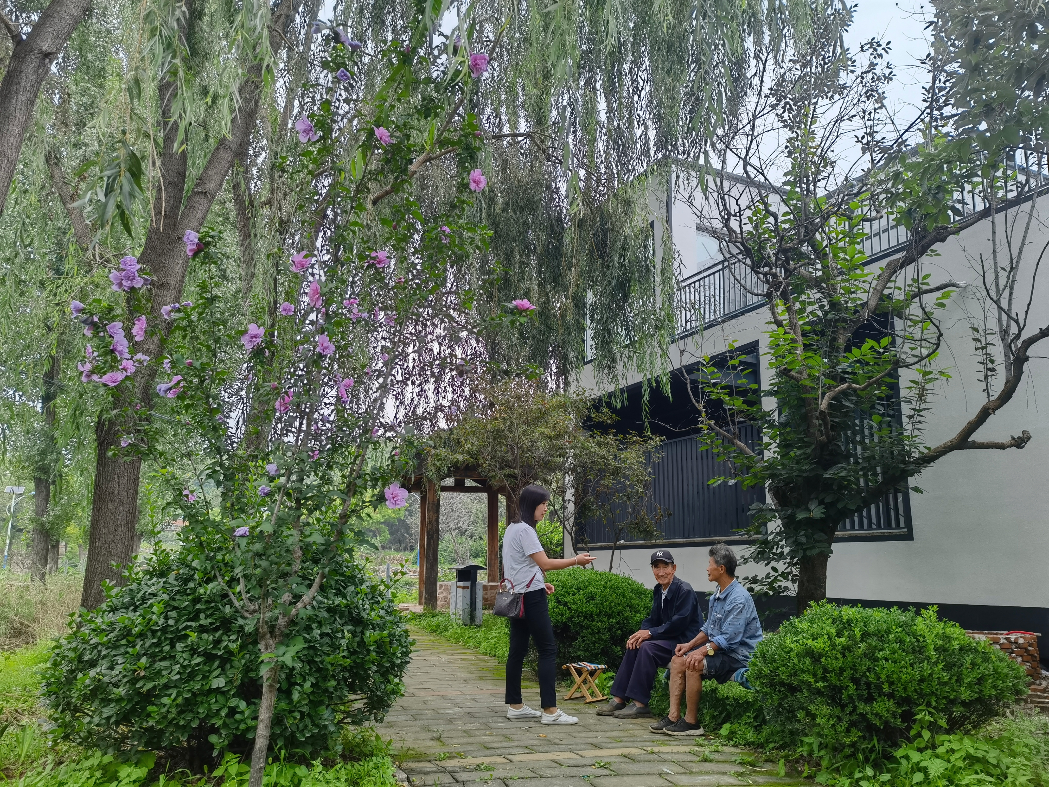 创建基本无违建区 平谷“见缝插绿”打造宜居山乡环境