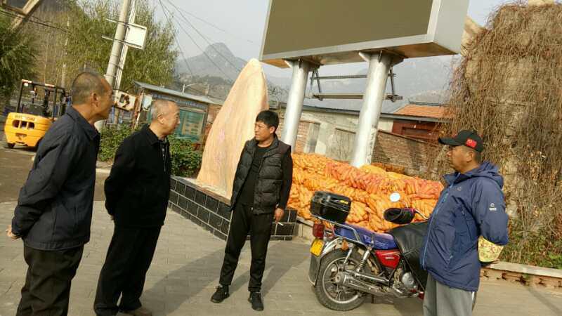 密云区新城子镇开展周末卫生日活动