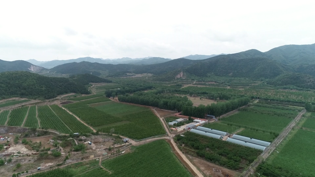 乡村振兴靠什么？他的法宝是……