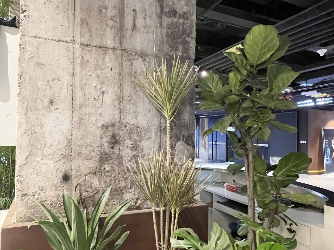 石景山首钢园的“隐藏菜单”！艺术馆里的图书馆你get到了吗？