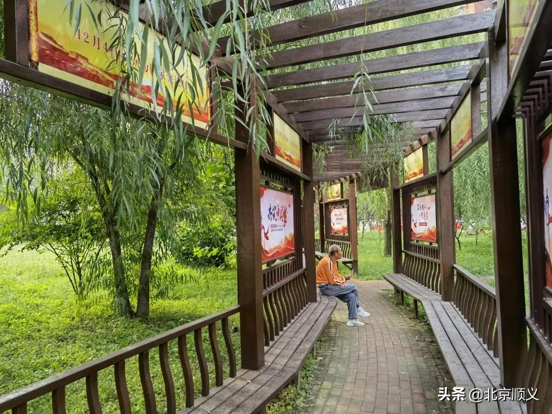 【创城有我】双丰街道不断提升社区景观文化，建设美好宜居家园~